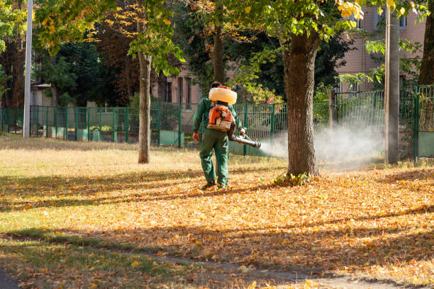 Best Affordable Pest Control Services  in Berlin, WI