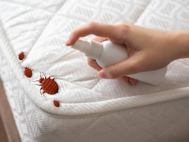 Best Cockroach Control Services  in Berlin, WI