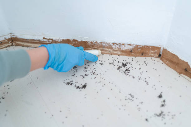Best Residential Pest Control  in Berlin, WI