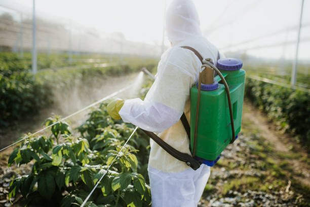Best Pest Control for Homes  in Berlin, WI